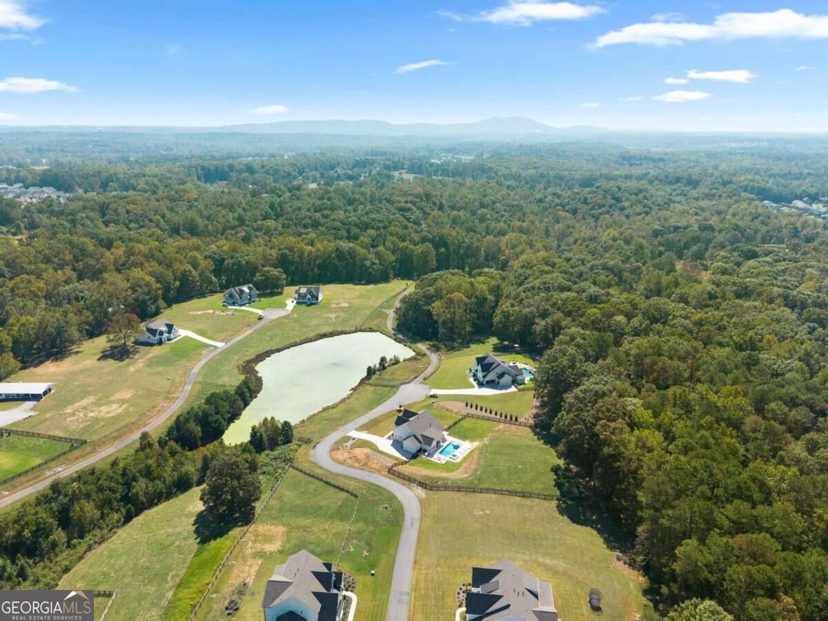 6530 Brooks Pond Trl Cumming - Photo 45