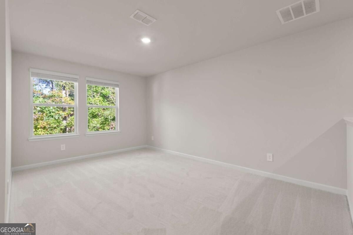 166 Magnolia Drive Dawsonville - Photo 36