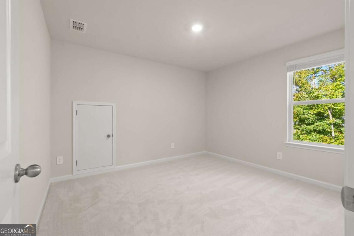 166 Magnolia Drive Dawsonville - Photo 39