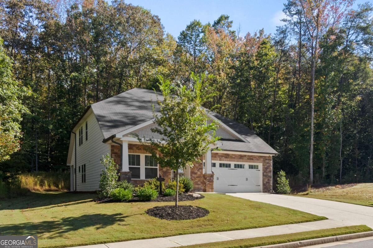 166 Magnolia Drive Dawsonville - Photo 50
