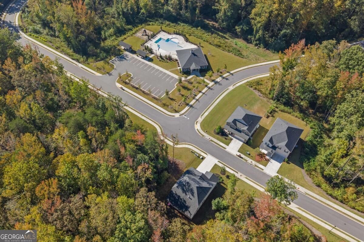 166 Magnolia Drive Dawsonville - Photo 52
