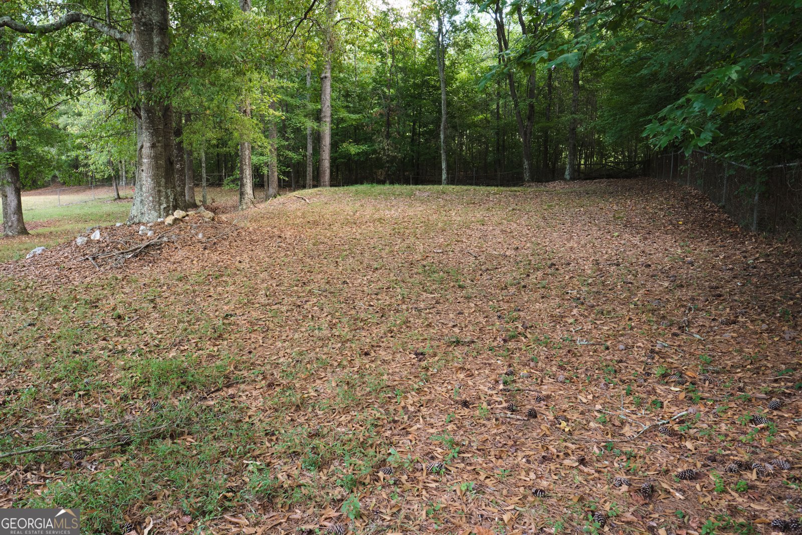 345 Old Rockmart Road Silver Creek - Photo 36