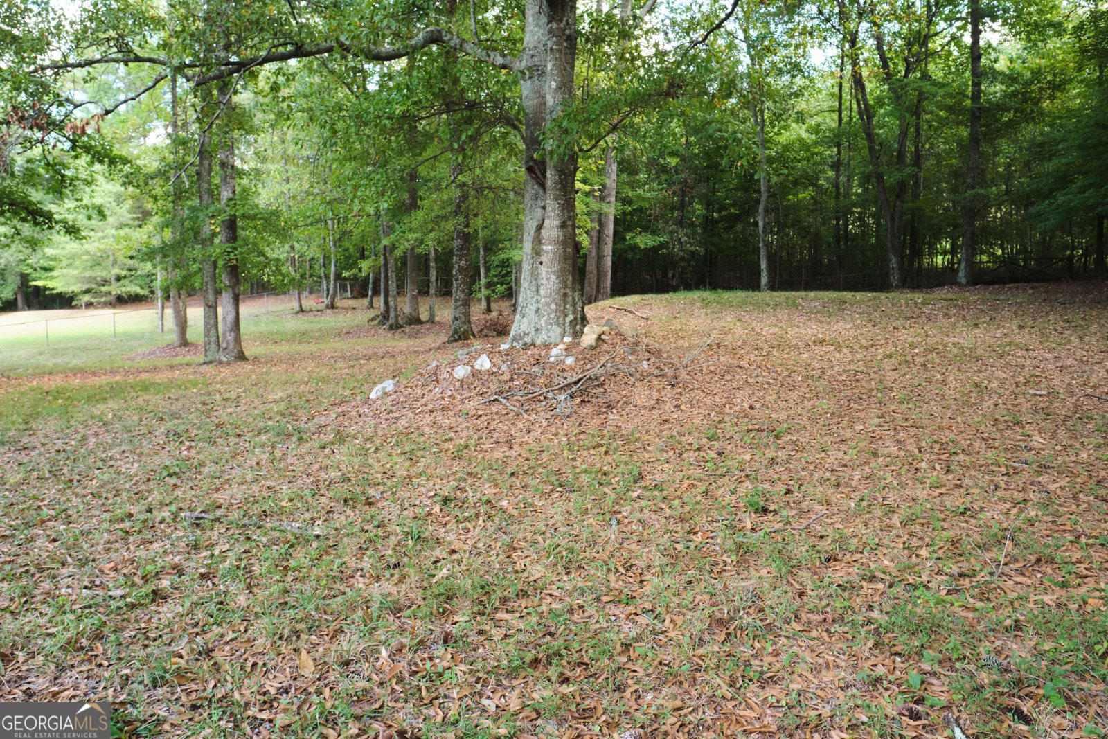 345 Old Rockmart Road Silver Creek - Photo 37