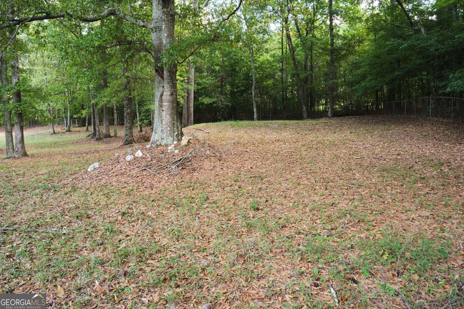 345 Old Rockmart Road Silver Creek - Photo 38
