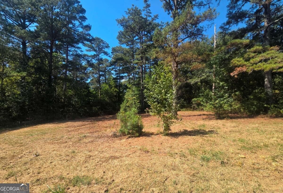 2292 Holly Springs Road Rockmart - Photo 36