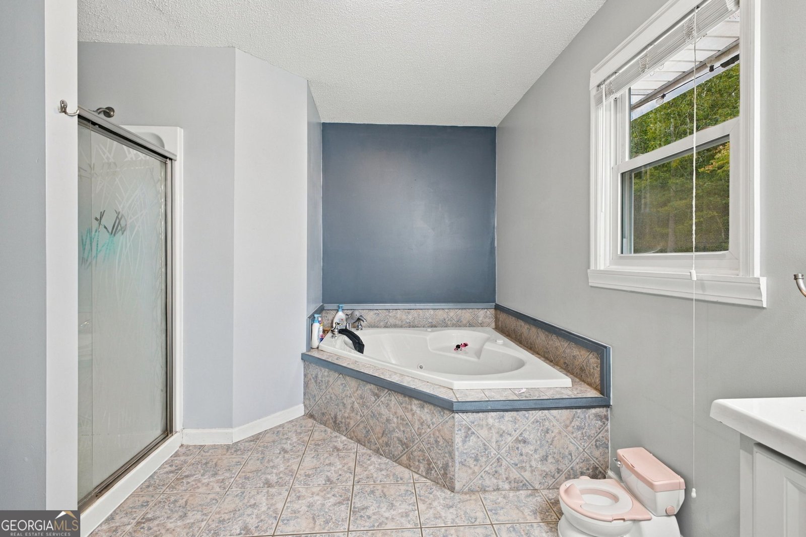 50 Pond Mill Court Silver Creek - Photo 21