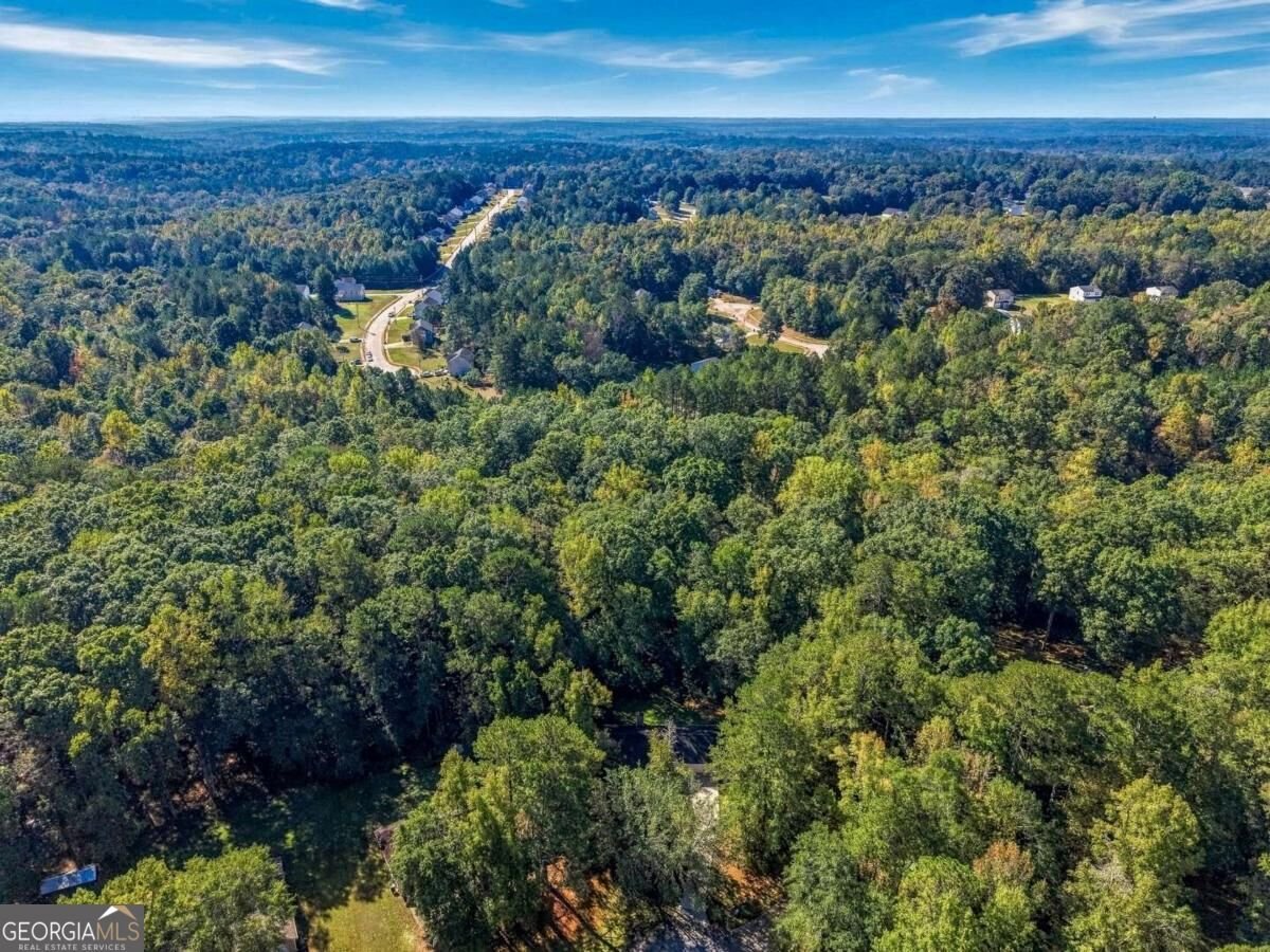 65 Laurel Ridge Court Covington - Photo 30