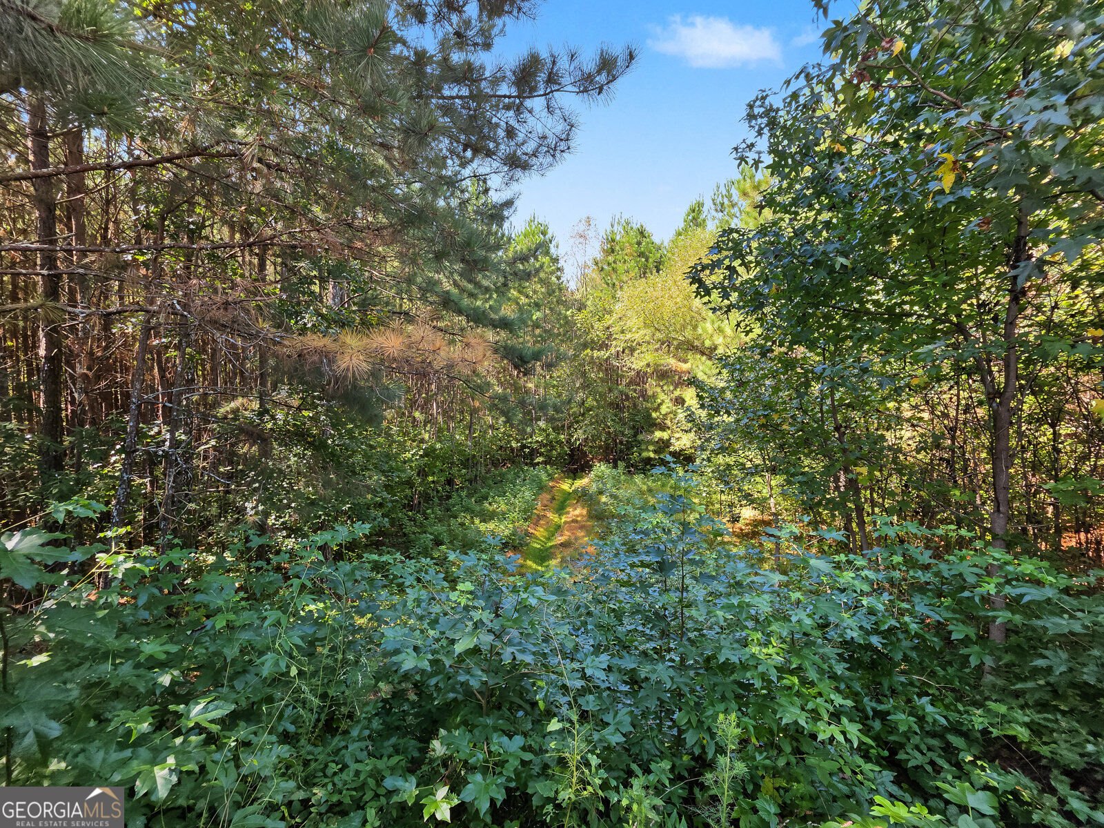5620 Shiloh Woods Drive Cumming - Photo 44