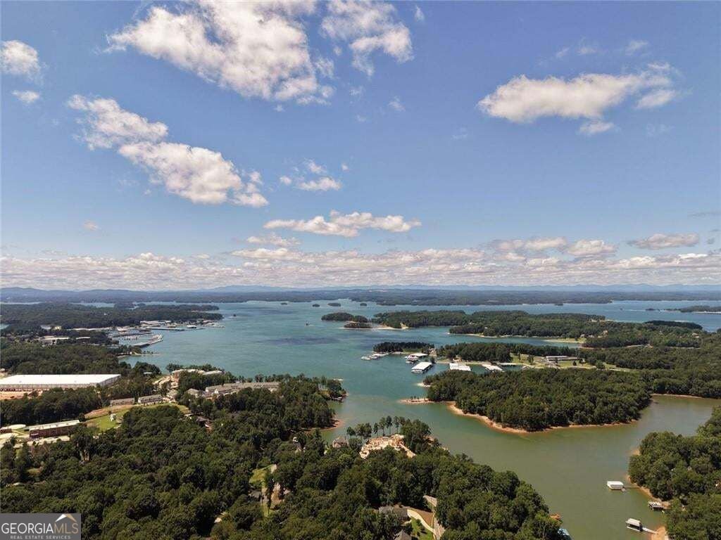 6181 Shoreland Circle Buford - Photo 49