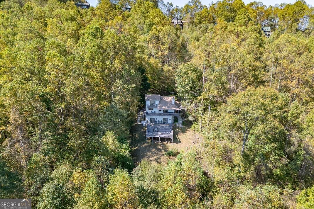 1109 Flat Rock Gap Road Blairsville - Photo 32