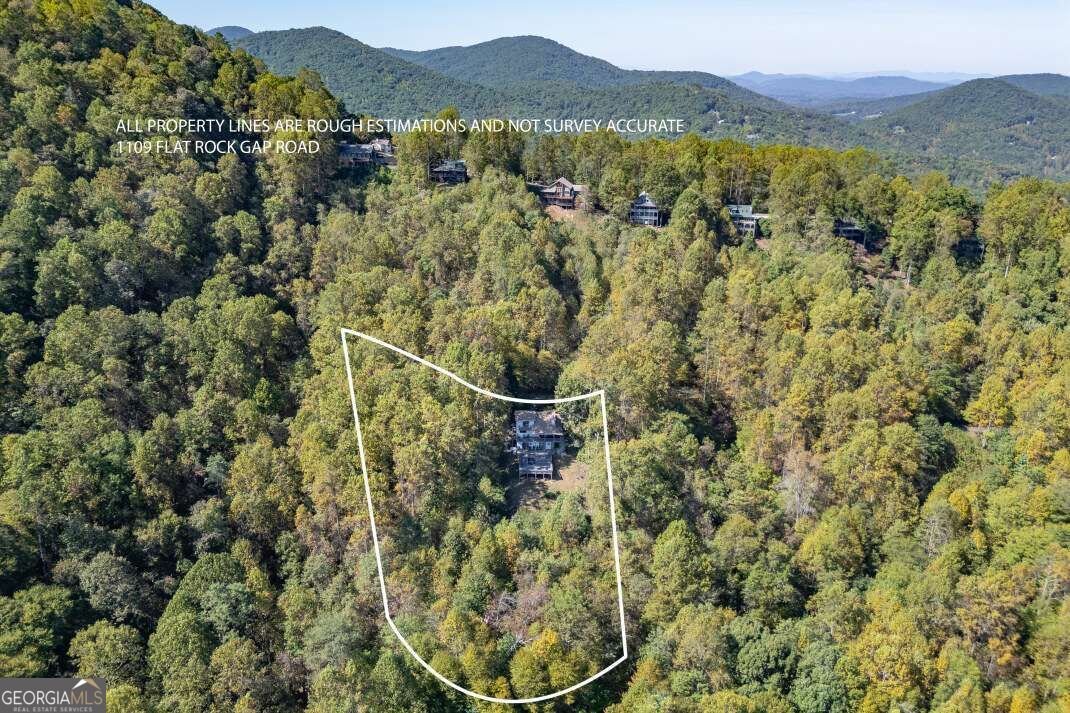 1109 Flat Rock Gap Road Blairsville - Photo 33