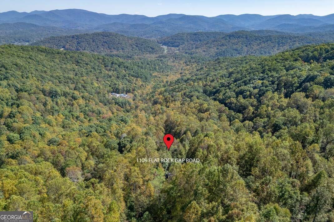 1109 Flat Rock Gap Road Blairsville - Photo 34