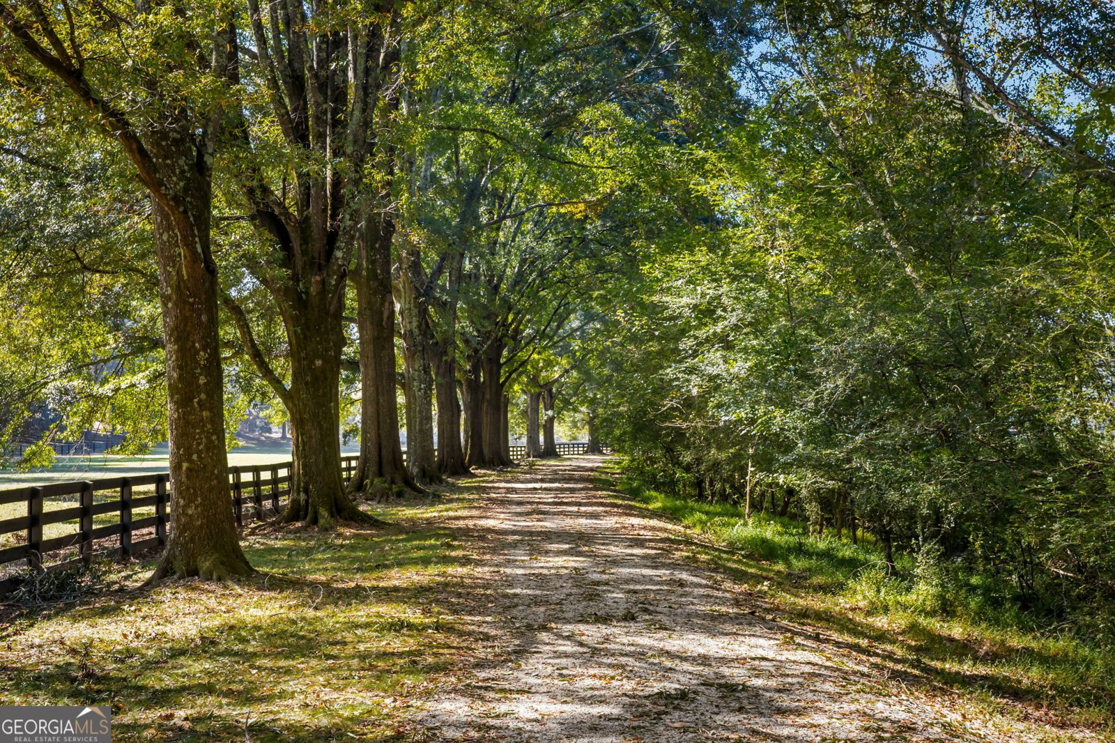 14870 Bluff Road Alpharetta - Photo 92