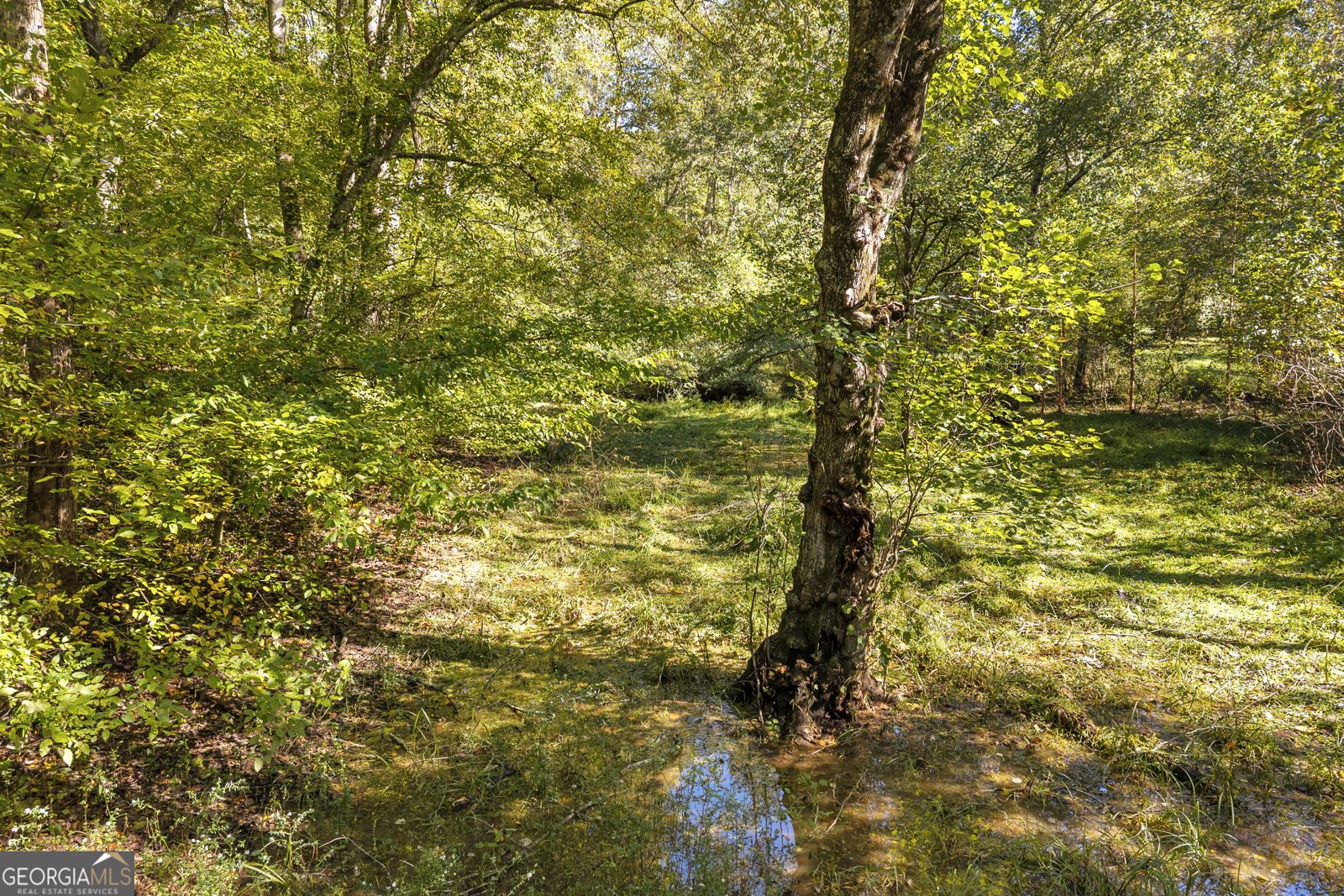399 Grindstone Creek Drive Clarkesville - Photo 64