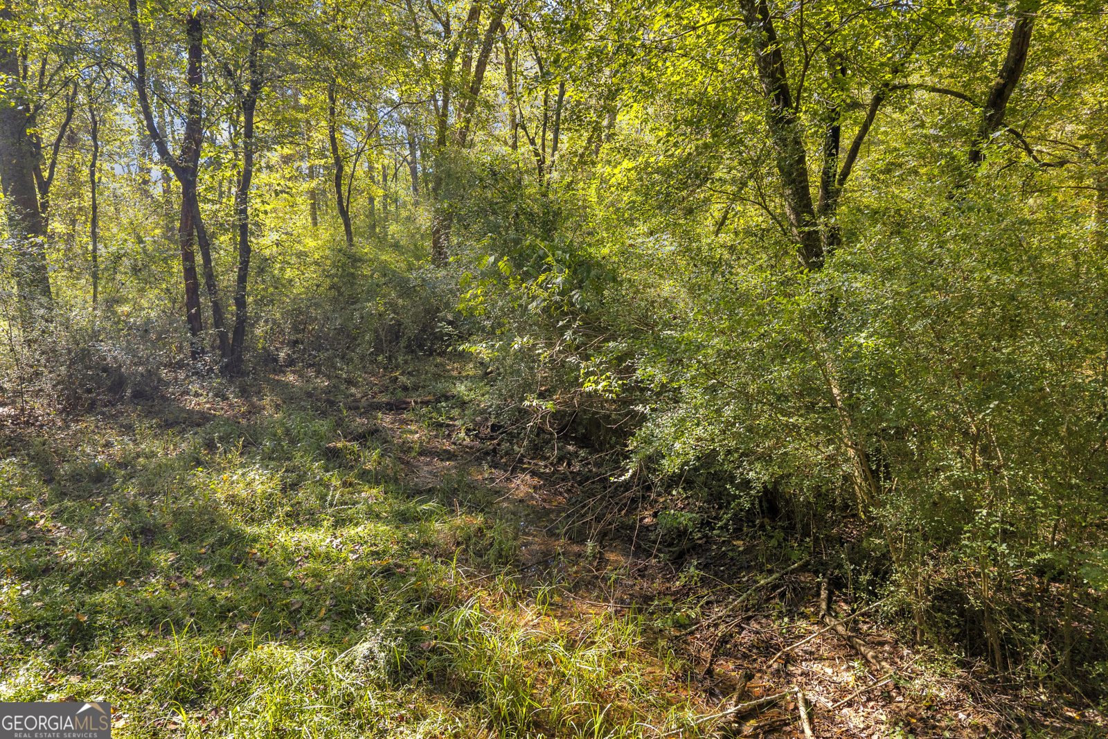 399 Grindstone Creek Drive Clarkesville - Photo 65