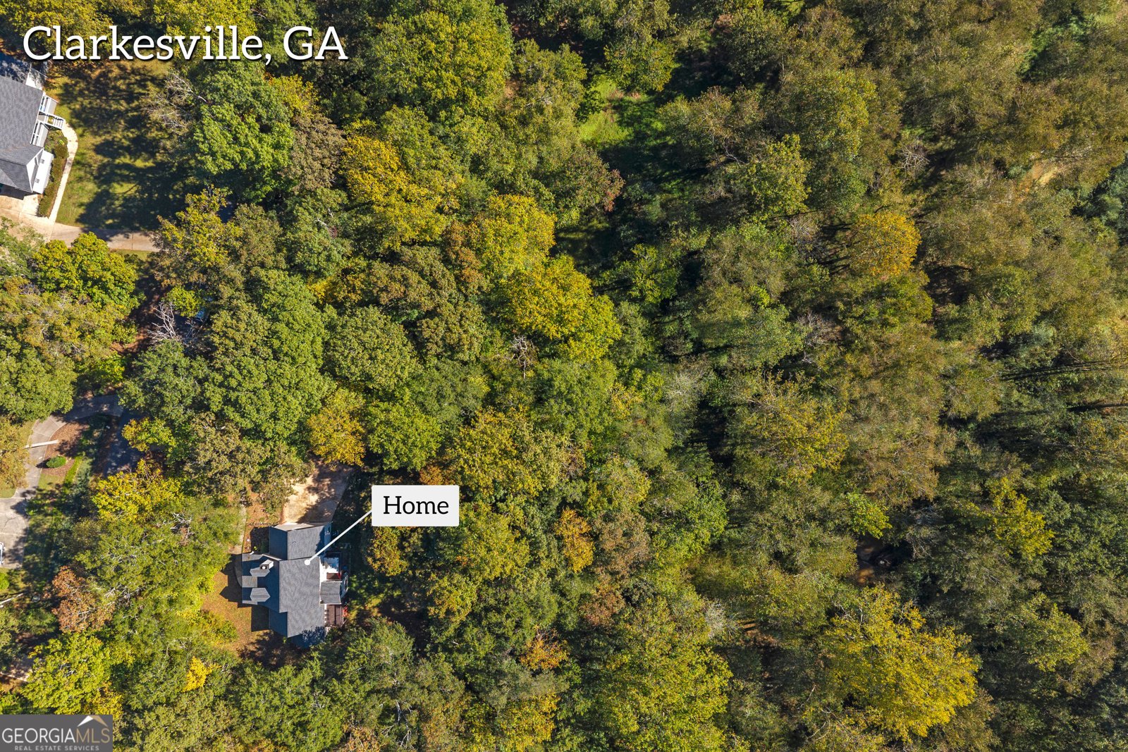 399 Grindstone Creek Drive Clarkesville - Photo 66