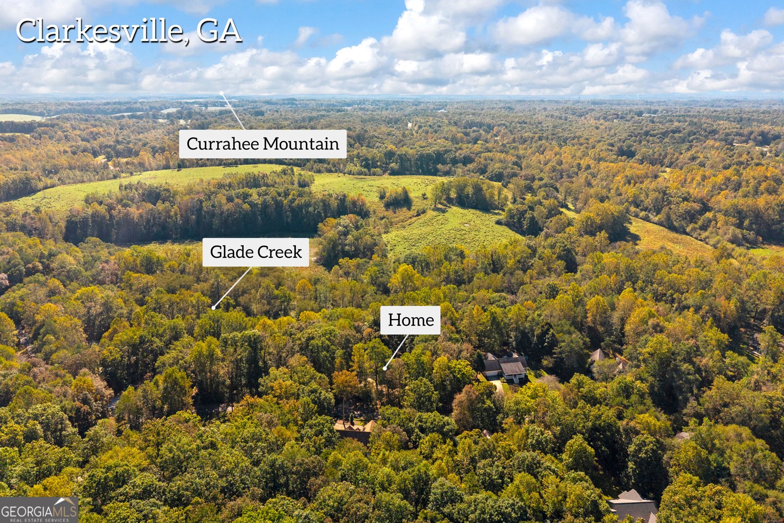 399 Grindstone Creek Drive Clarkesville - Photo 68