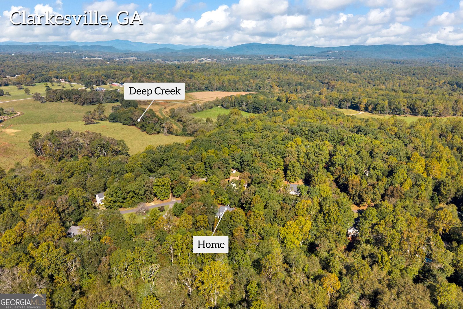 399 Grindstone Creek Drive Clarkesville - Photo 71