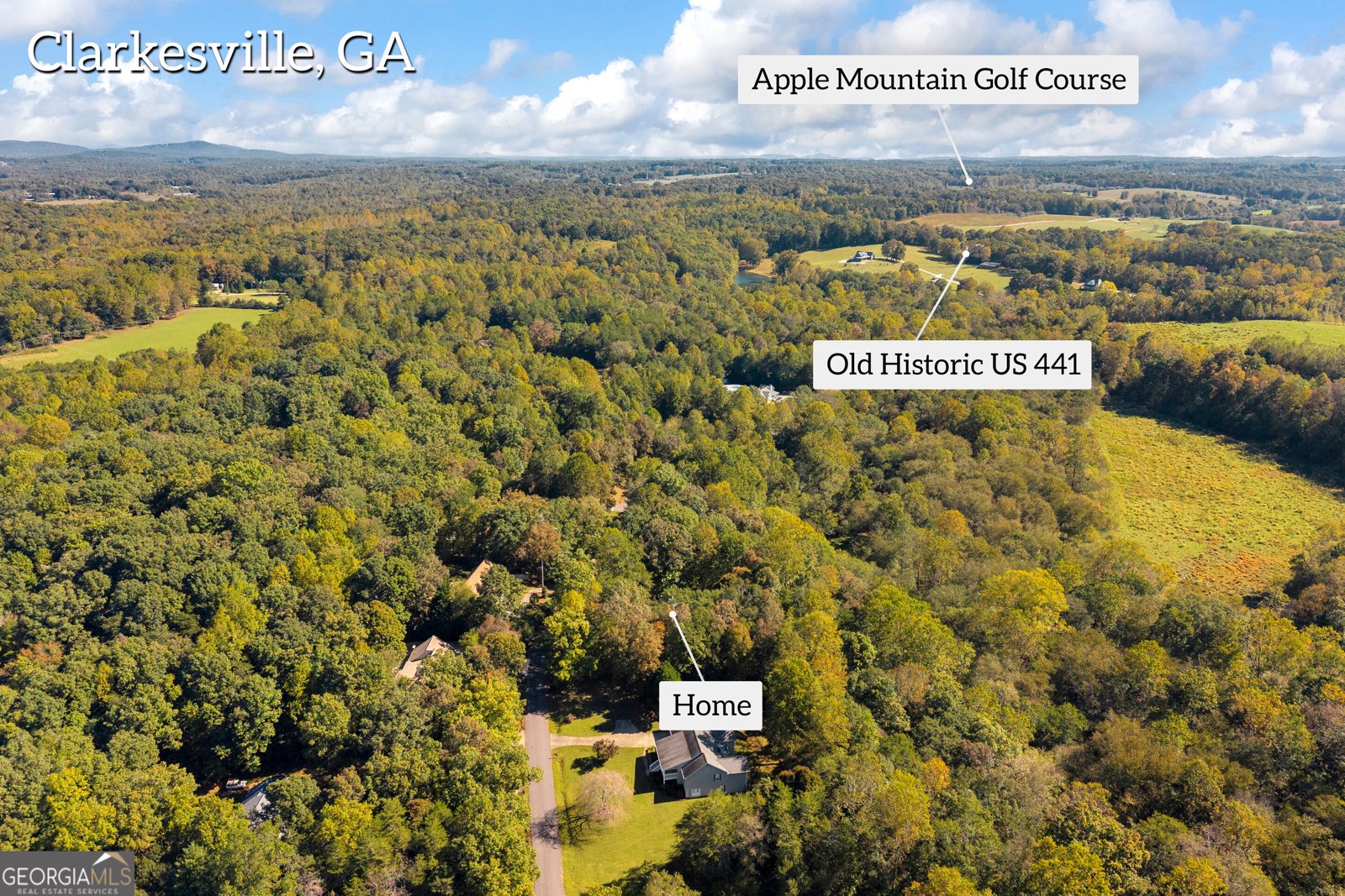 399 Grindstone Creek Drive Clarkesville - Photo 73