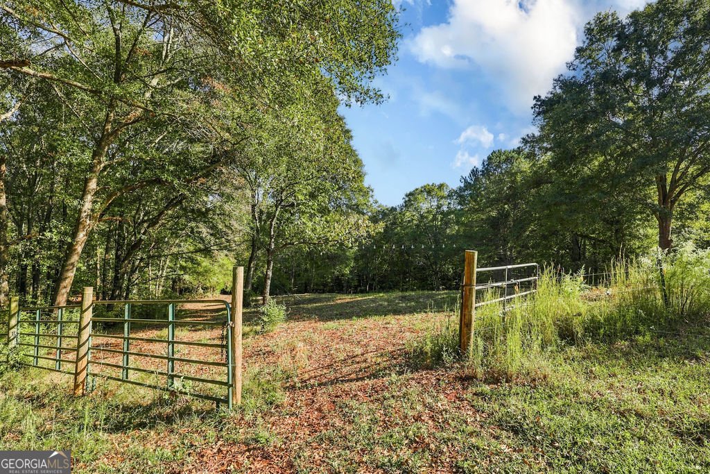 2459 Bear Creek Road Statham - Photo 42
