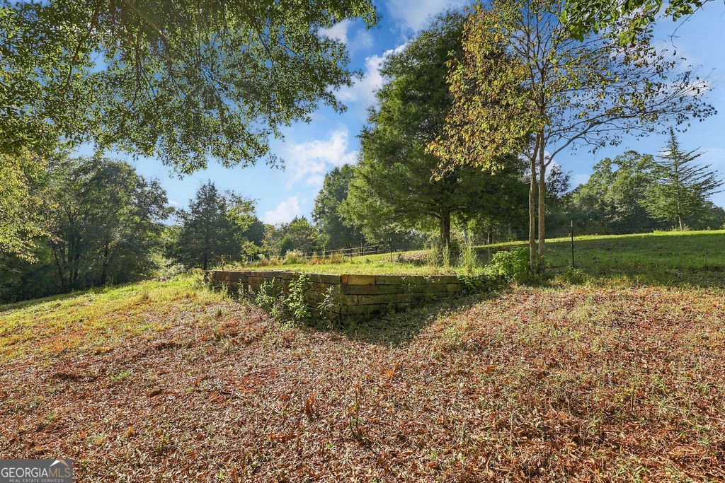 2459 Bear Creek Road Statham - Photo 43