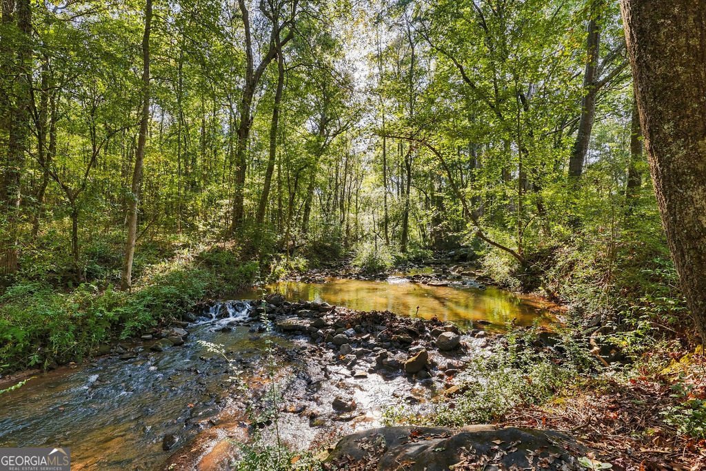 2459 Bear Creek Road Statham - Photo 46