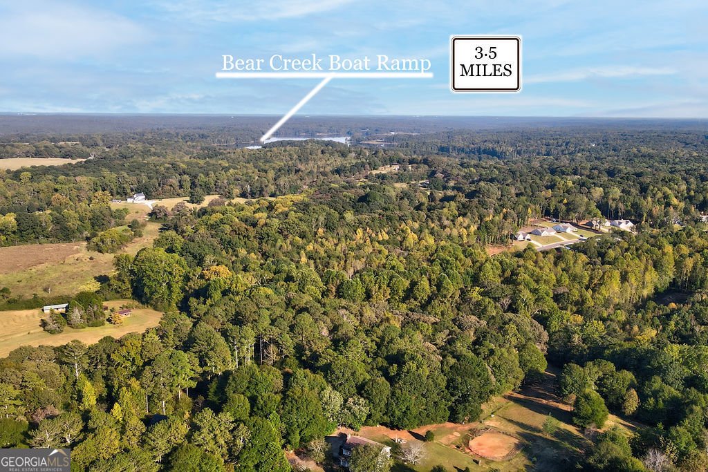 2459 Bear Creek Road Statham - Photo 48