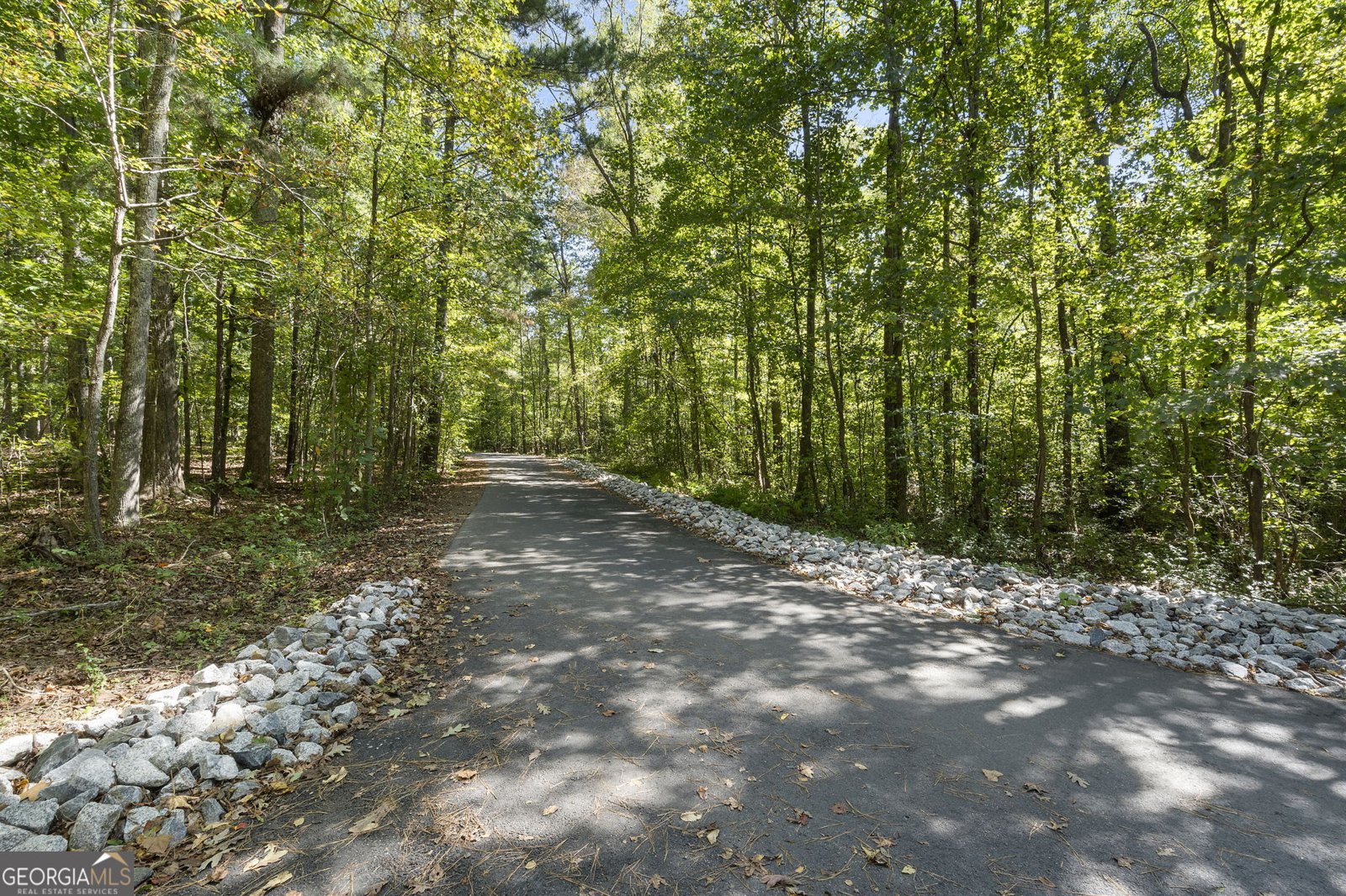 603 Las Brasis Court Peachtree City - Photo 49