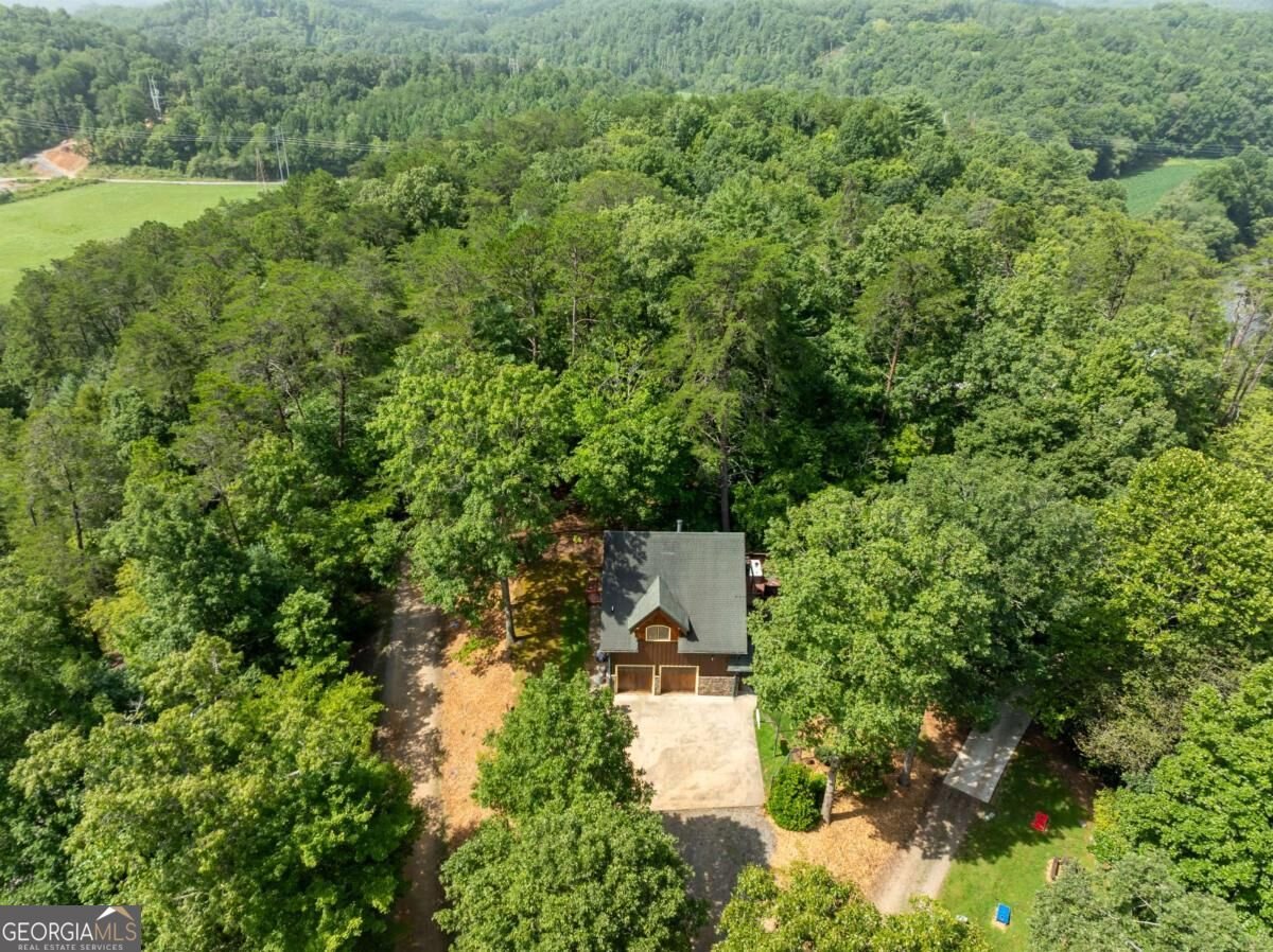 83 Riverview Circle Blue Ridge - Photo 10