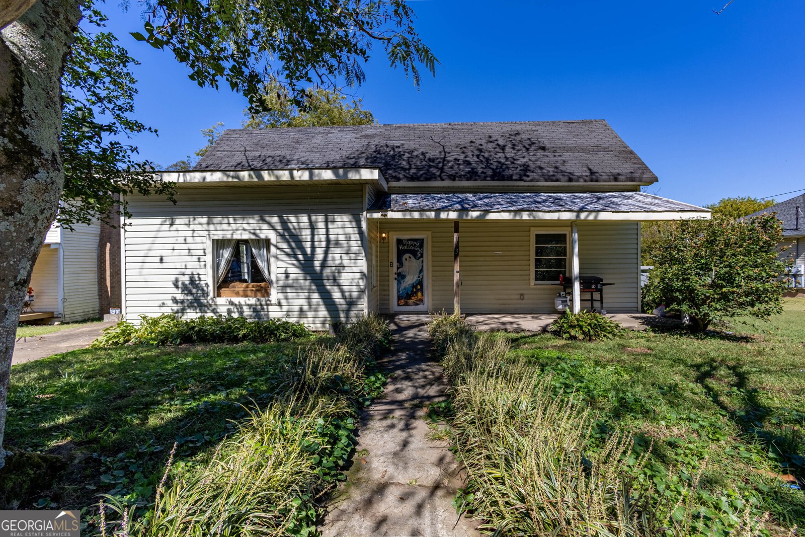 183 Meadow Street Tallapoosa - Photo 34