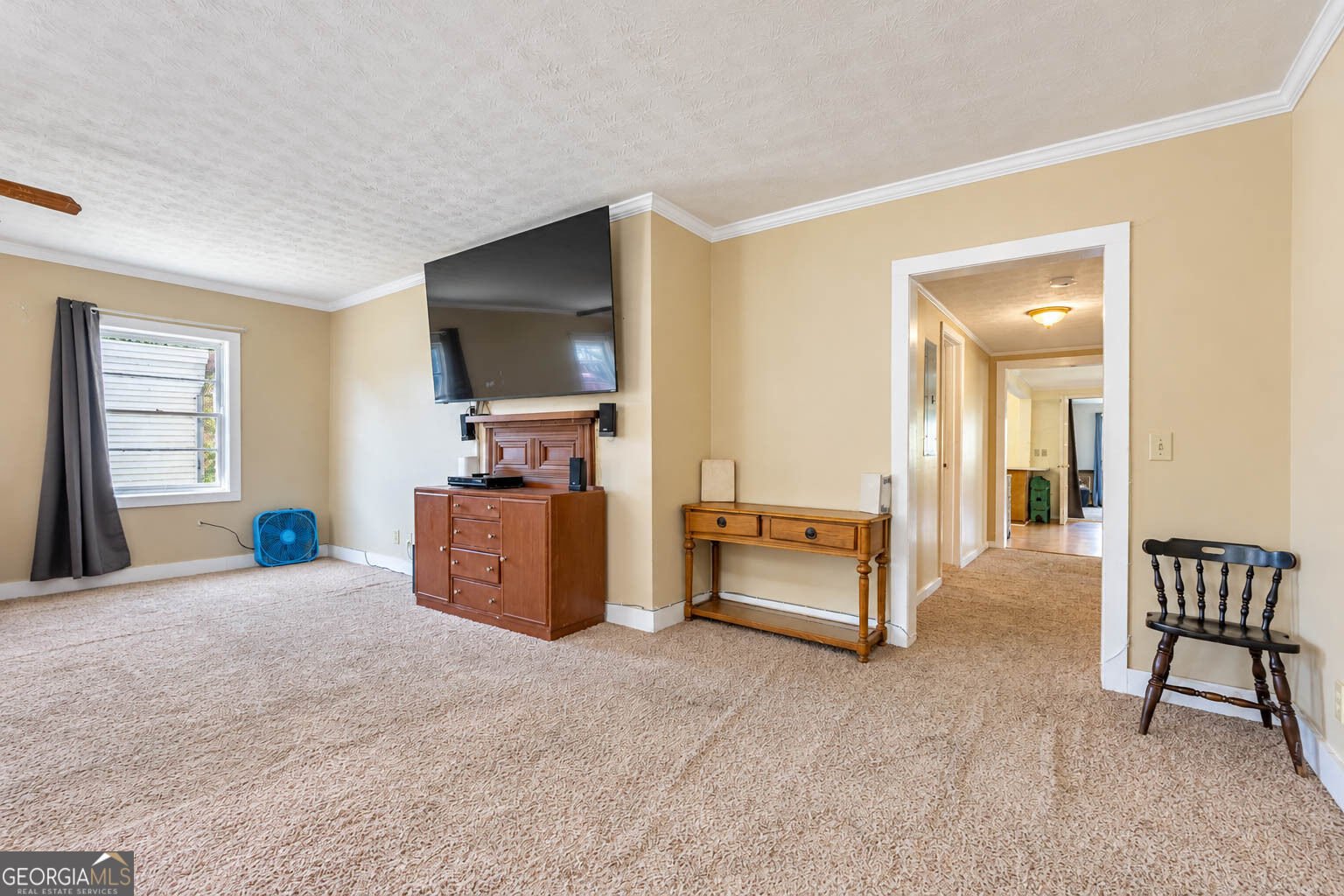 183 Meadow Street Tallapoosa - Photo 7