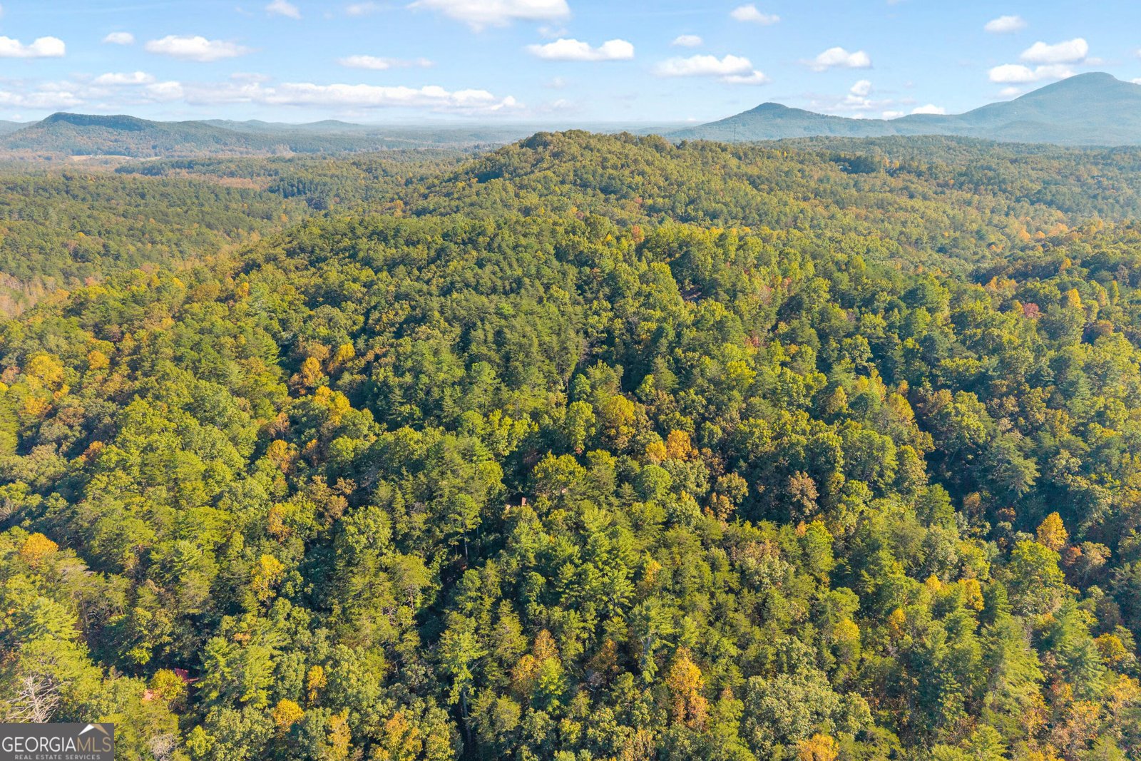 266 Miners Mountain Road Sautee - Photo 63