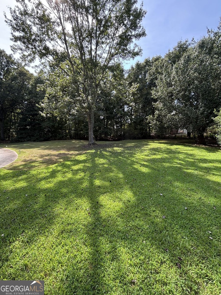 604 Maddox Road Griffin - Photo 114