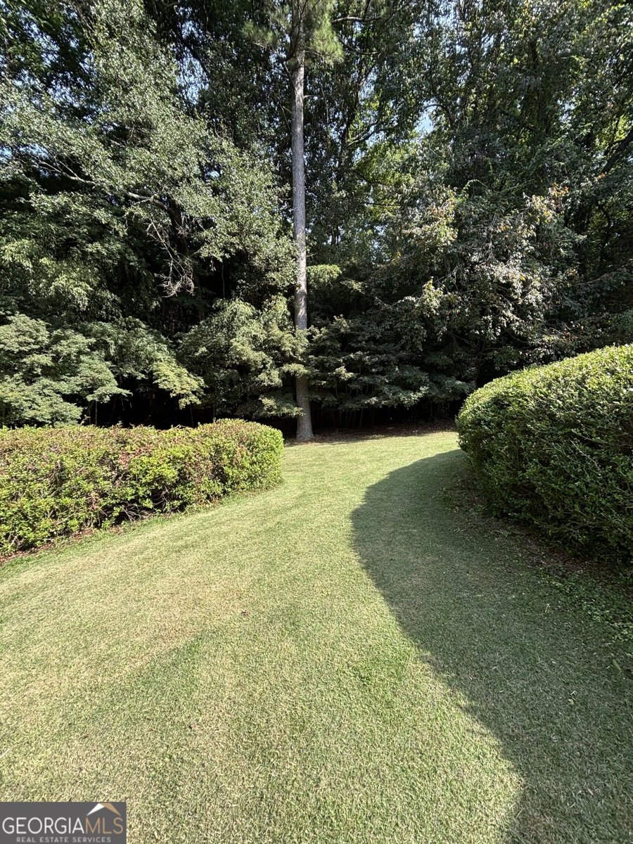 604 Maddox Road Griffin - Photo 117