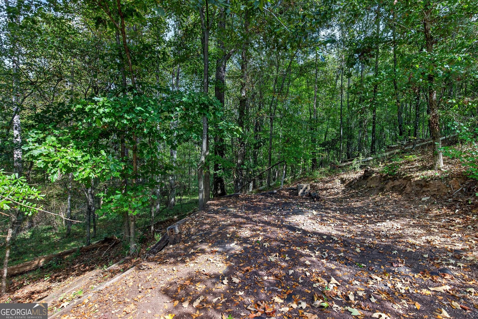 565 Arbor Springs Parkway Newnan - Photo 71