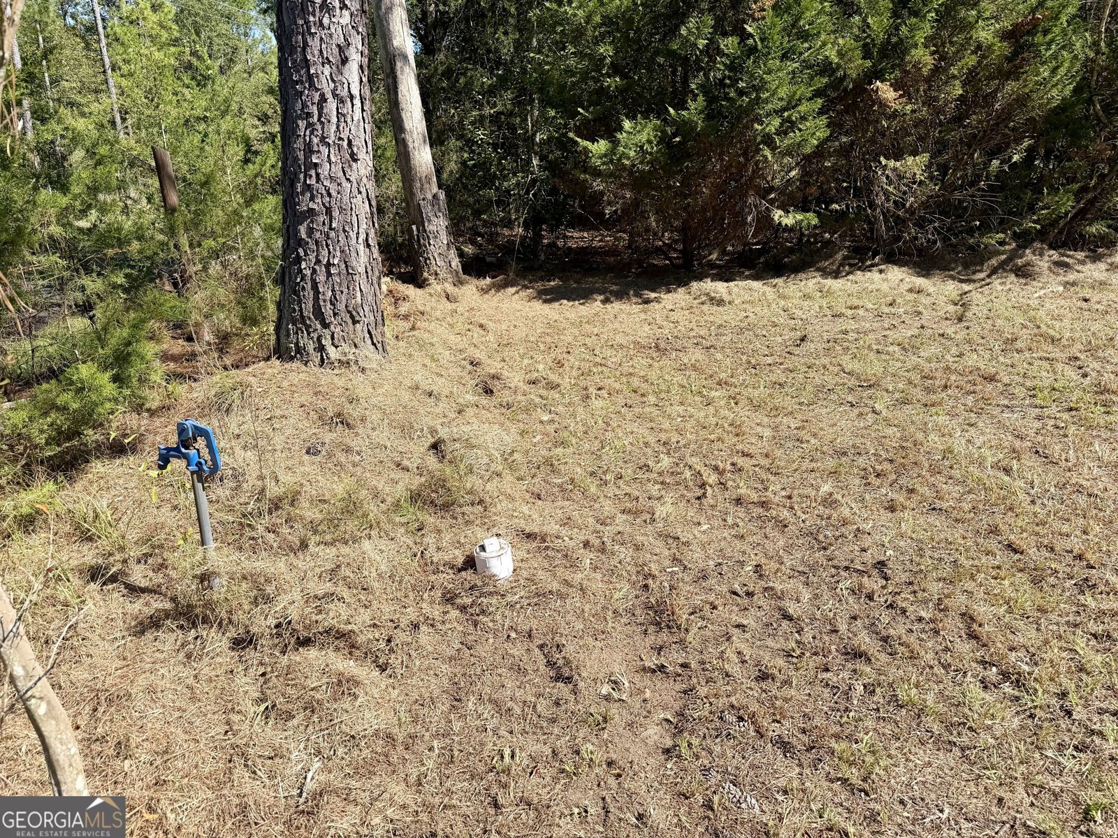 1807 Mauldin Road Elberton - Photo 16