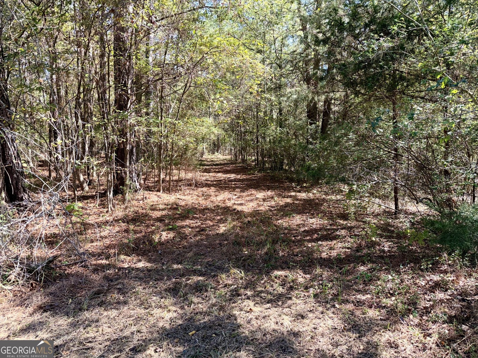 1807 Mauldin Road Elberton - Photo 30