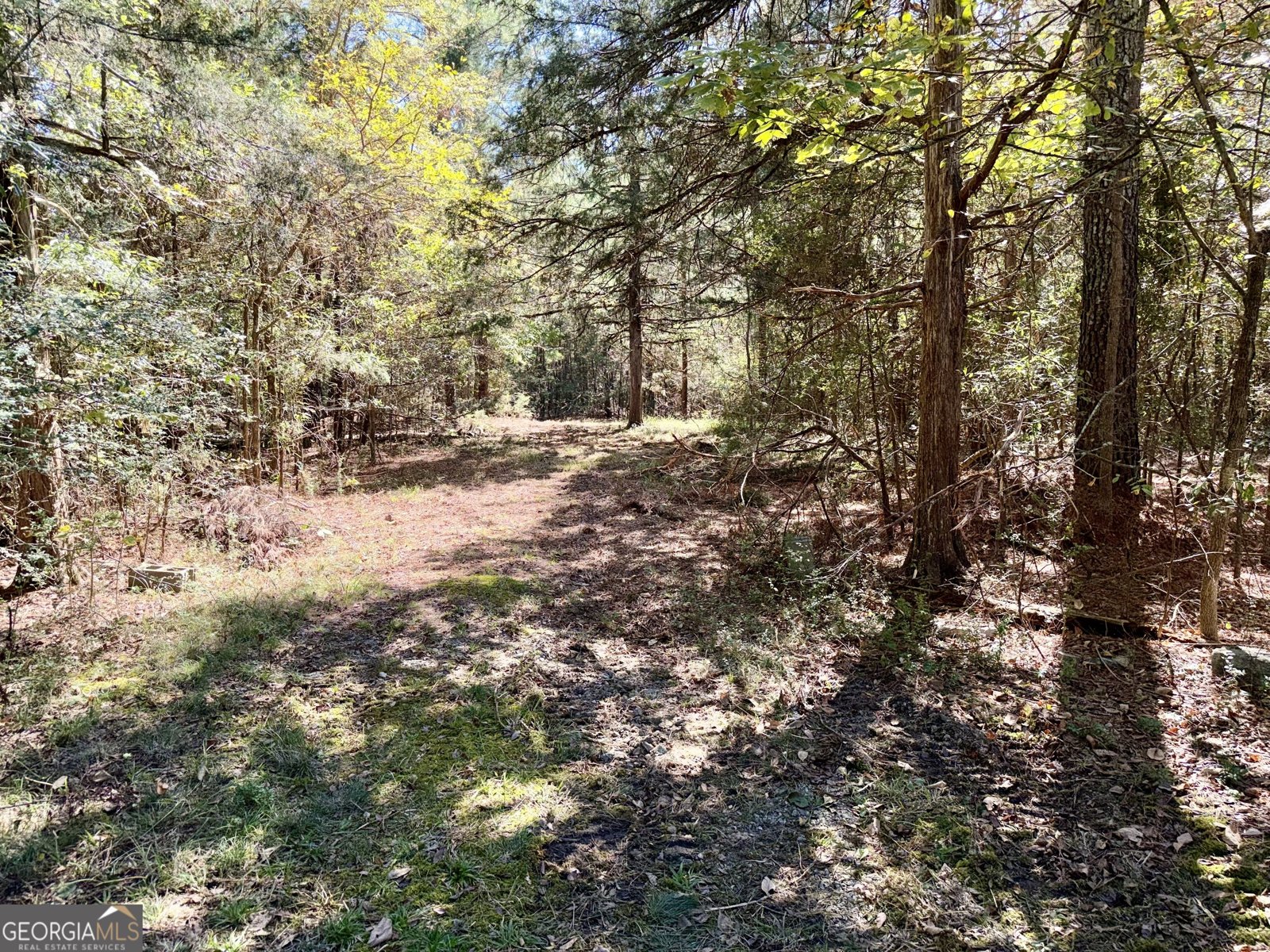 1807 Mauldin Road Elberton - Photo 34