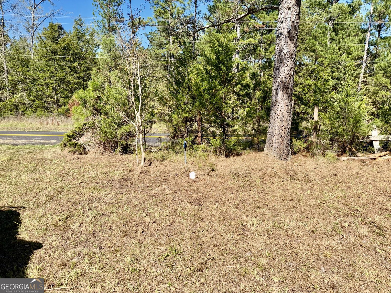 1807 Mauldin Road Elberton - Photo 41