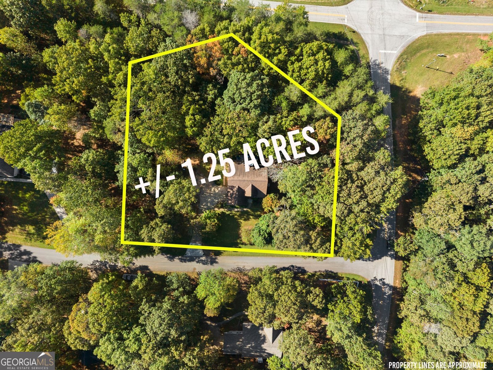 115 Tall Oaks Drive Alto - Photo 10