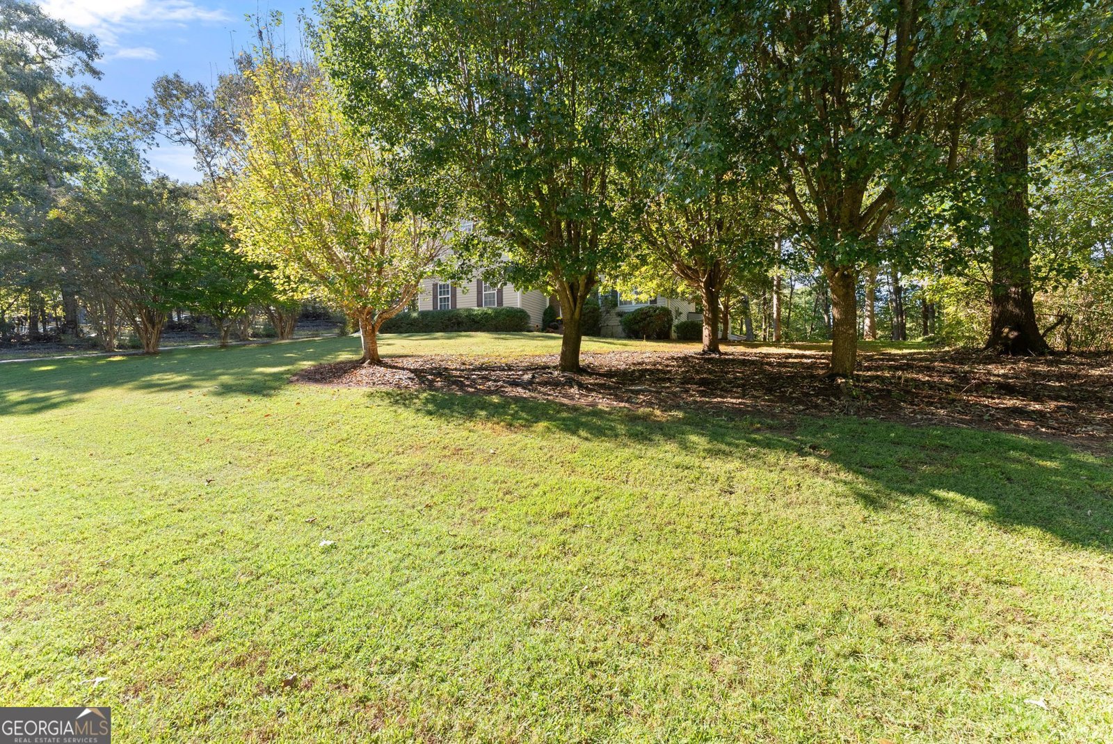 115 Tall Oaks Drive Alto - Photo 8