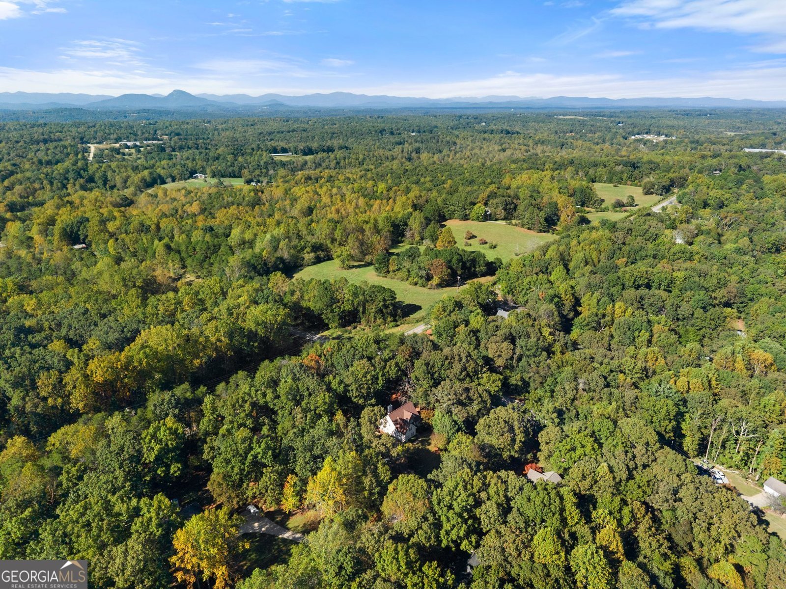 115 Tall Oaks Drive Alto - Photo 9