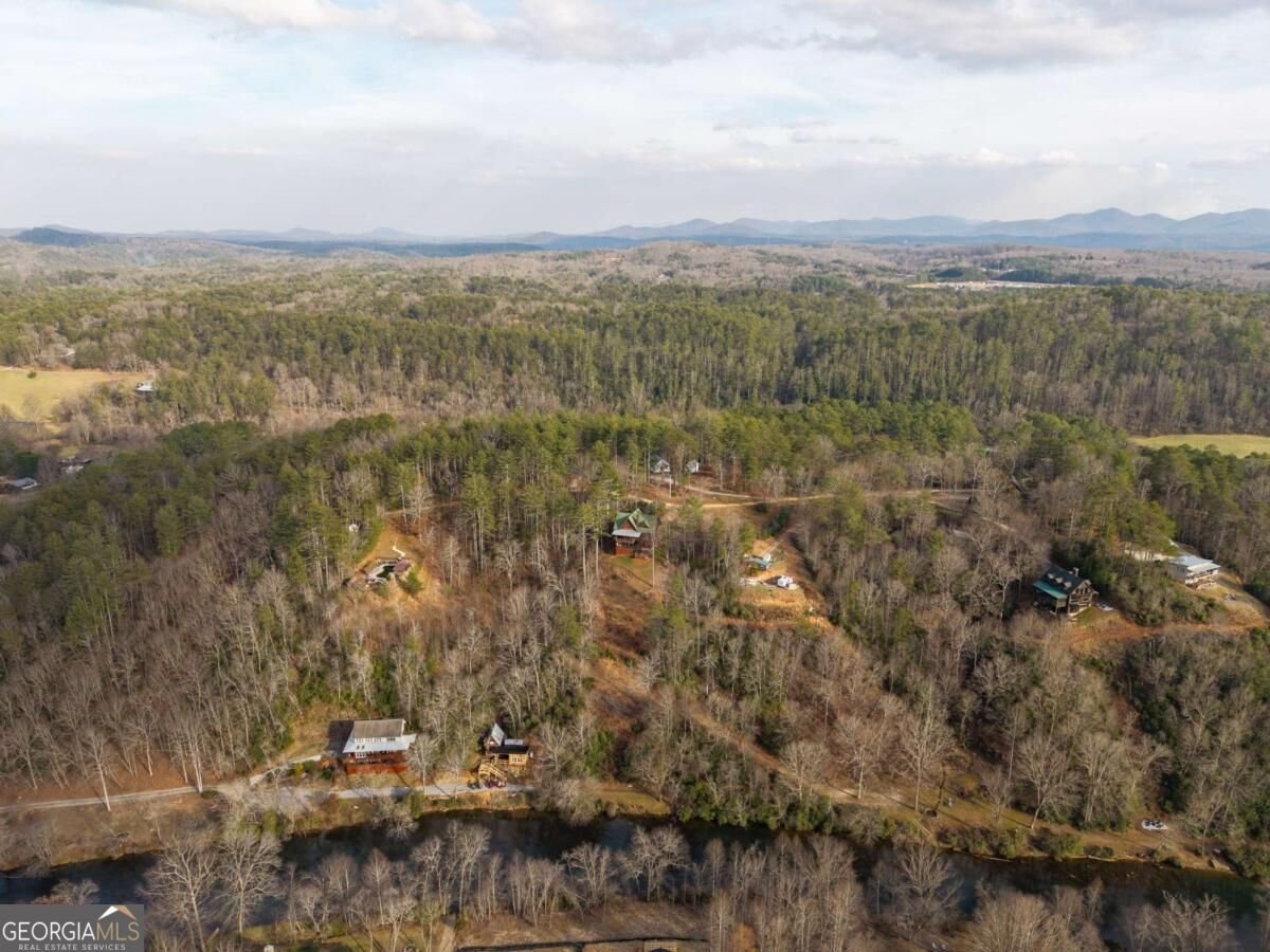 153 Riverview Circle Blue Ridge - Photo 11