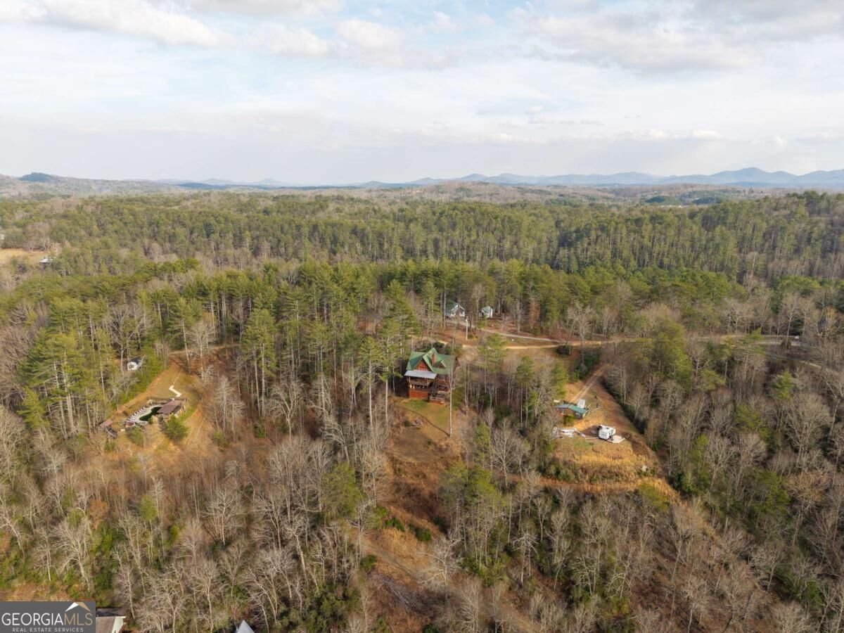 153 Riverview Circle Blue Ridge - Photo 12