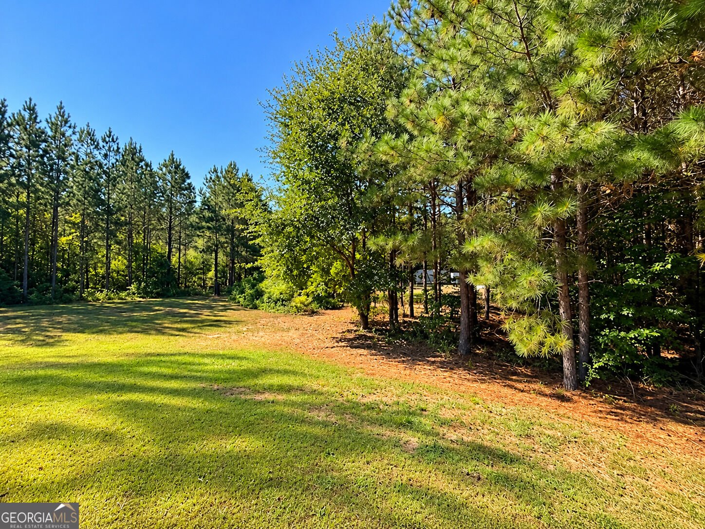 93 Mulberry Crossing Drive Cataula - Photo 27