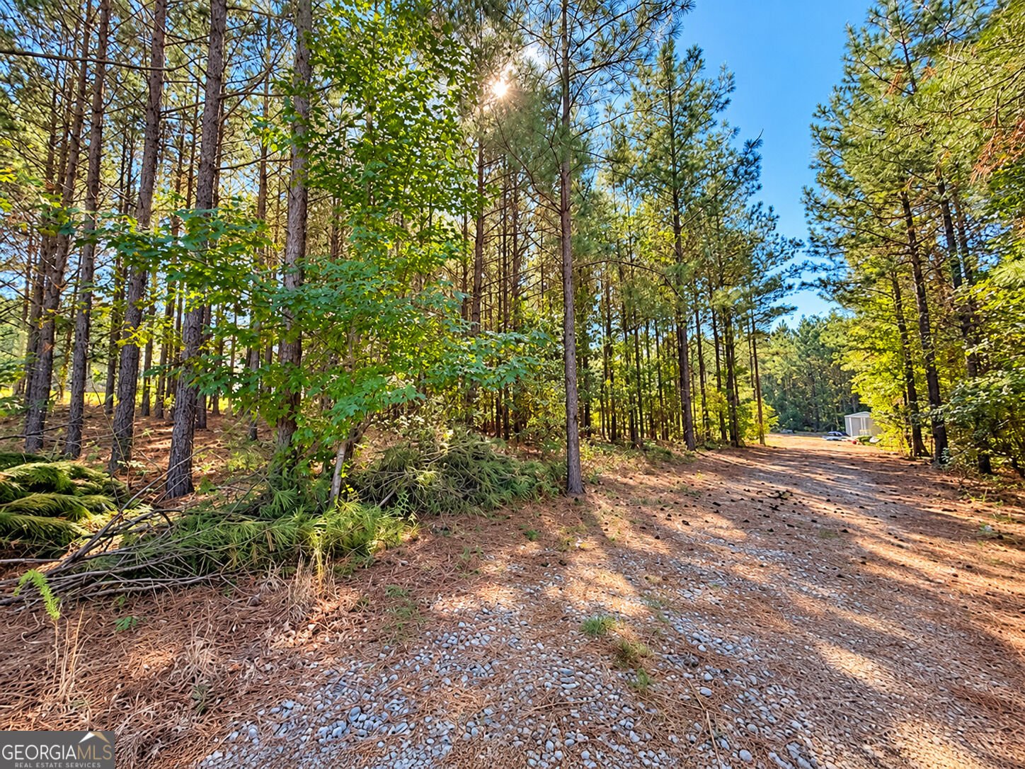 93 Mulberry Crossing Drive Cataula - Photo 28
