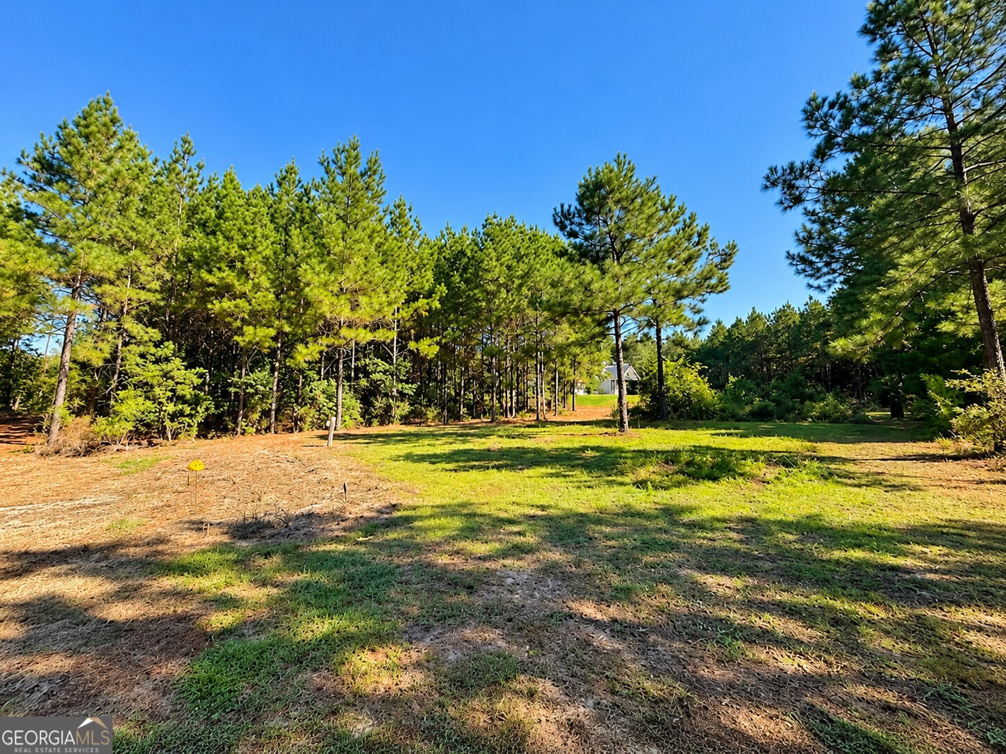 93 Mulberry Crossing Drive Cataula - Photo 29