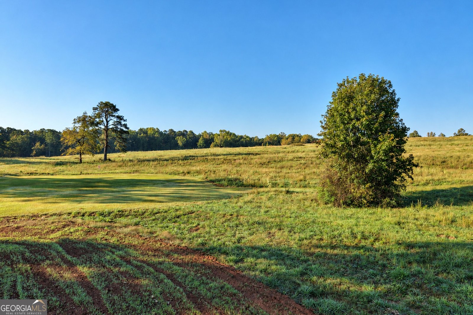 546 Bush Road Barnesville - Photo 67