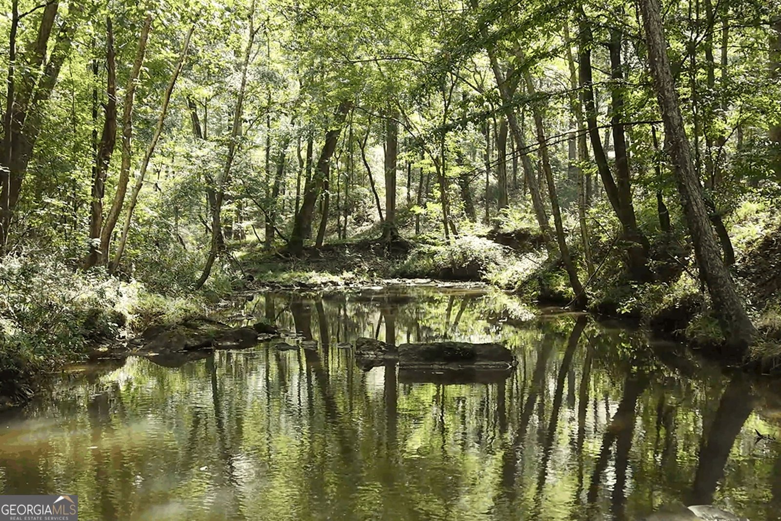546 Bush Road Barnesville - Photo 8