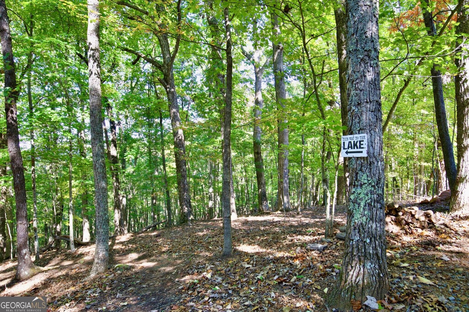 1052 Green Ridge Road Blue Ridge - Photo 38